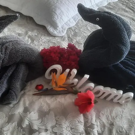 Madeira Mar - Seaview شقة فونشال